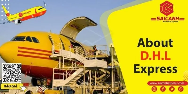 Gửi hàng đi Mỹ tại Đồng Tháp